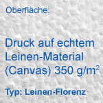 canvasstruktur