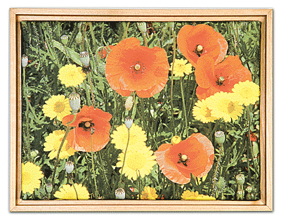 schattenfuge_blumen